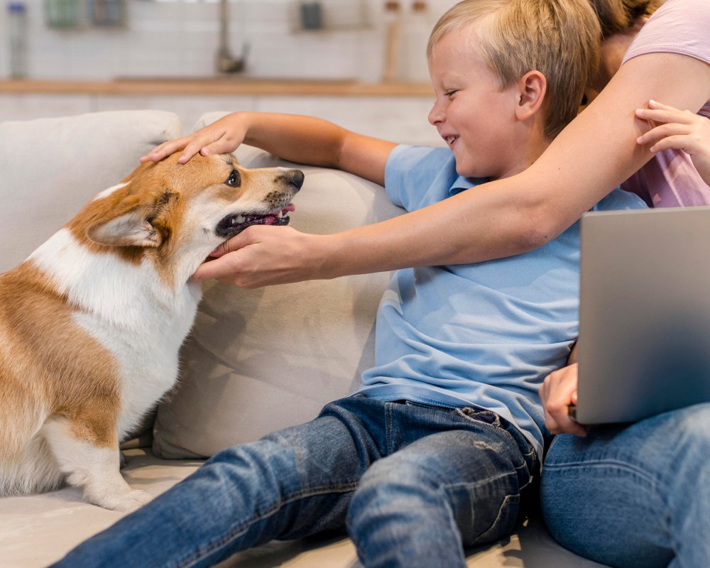 Family-Centered Support