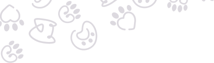 decorative shape