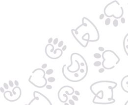 decorative shape