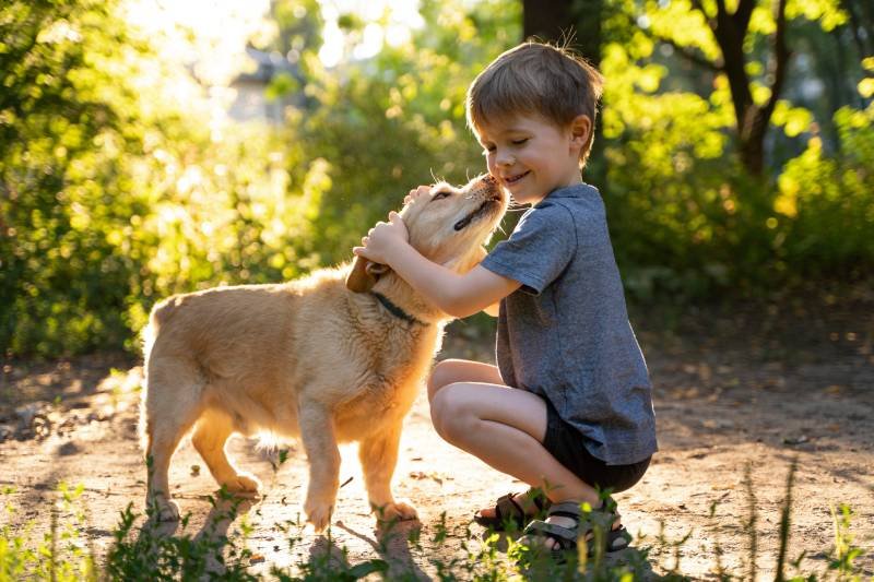How a Calm and Sensory-Friendly Space Positively Helps Children Learn